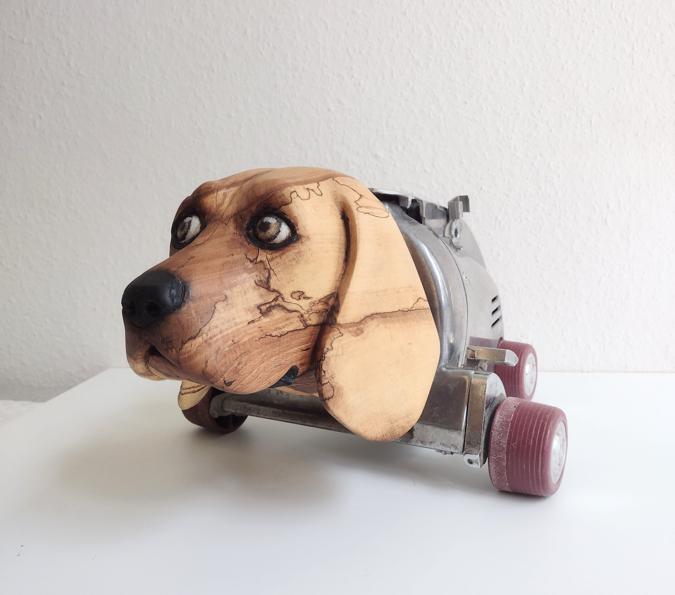 beaglebot 1