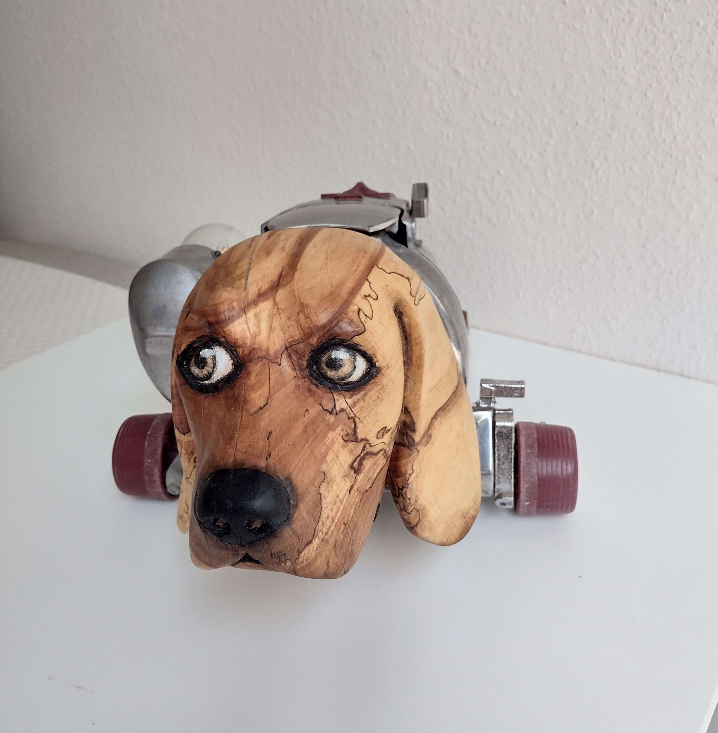 beaglebot 8