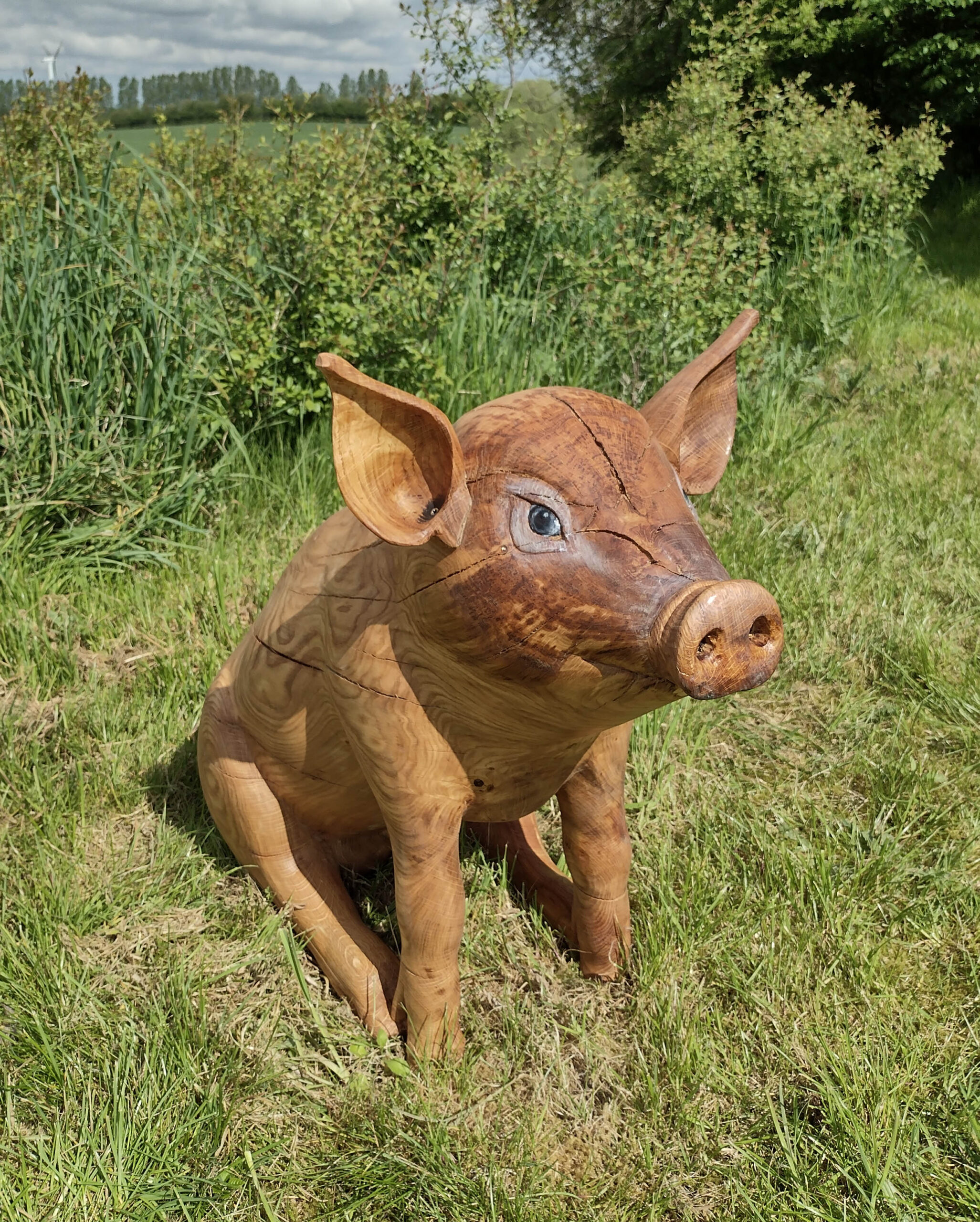 pig 4